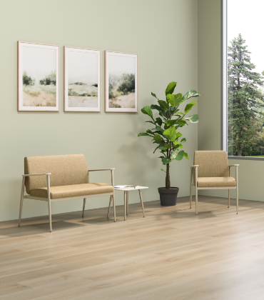 Spry chairs in waiting room with plant